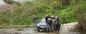 Birdwatchers-at-Tsiknias river-Skala kalloni-Lesvos